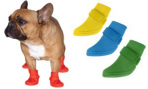 JellyWellies