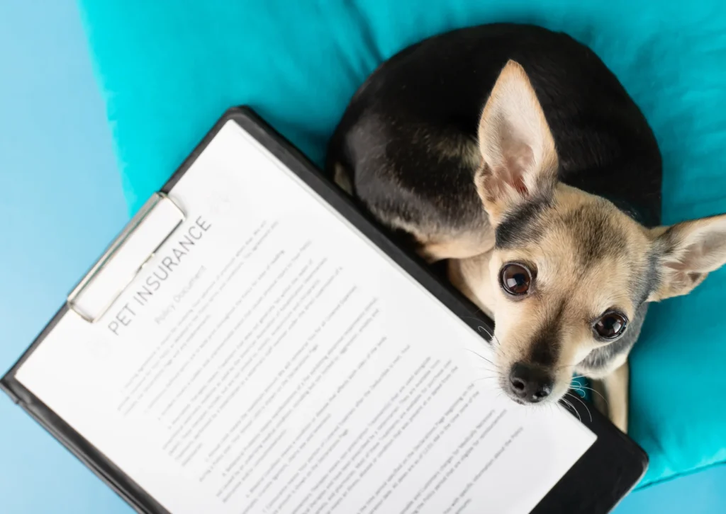 Pet Insurance