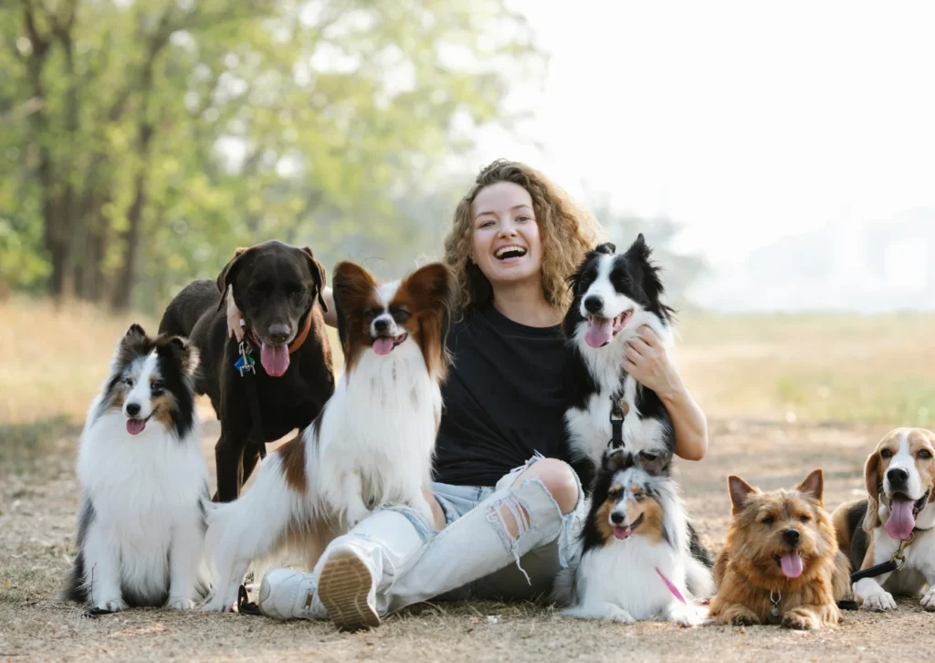 Tucker's Law Update for Brooklyn Pet Owners