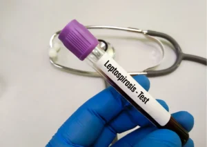 eptospirosis Cases in Dogs and Humans in New York City